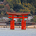 世界遺産・厳島神社参拝／日本三景・みやじまの湯と絶景の藤の花