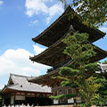 《西国三十三ケ所巡礼の旅》【第3回】第6番札所 壺阪寺・第7番札所 岡寺・第8番札所 長谷寺・第9番札所 南円堂・番外 法起院